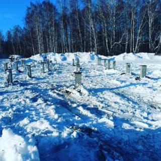 Фундаменты на забивных ЖБ сваях